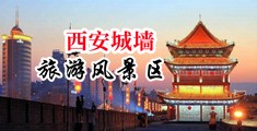 舔老女人的逼逼视频中国陕西-西安城墙旅游风景区